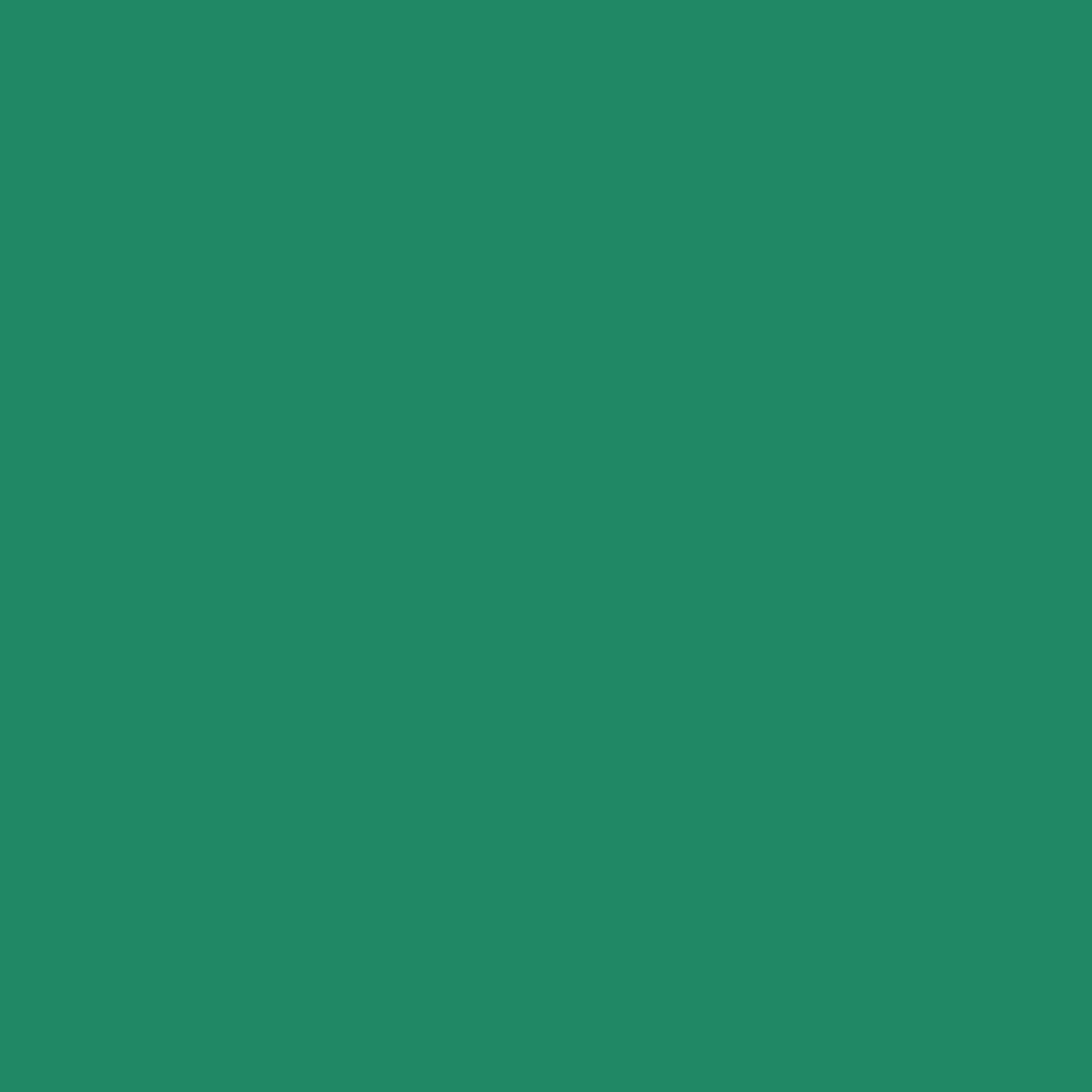 Cadette Green - 5' Roll EasyWeed HTV