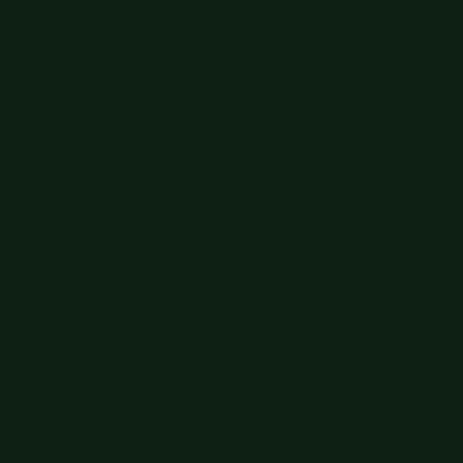 Dark Green 12"x12" - EasyWeed HTV (Heat Transfer Vinyl)