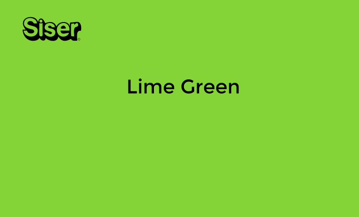 Lime Green 5' Roll EasyPSV – Permanent Vinyl