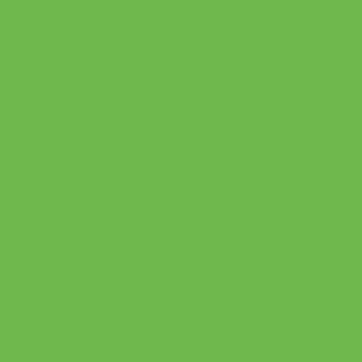 Green Apple 12"x12" -  EasyWeed HTV (Heat Transfer Vinyl)