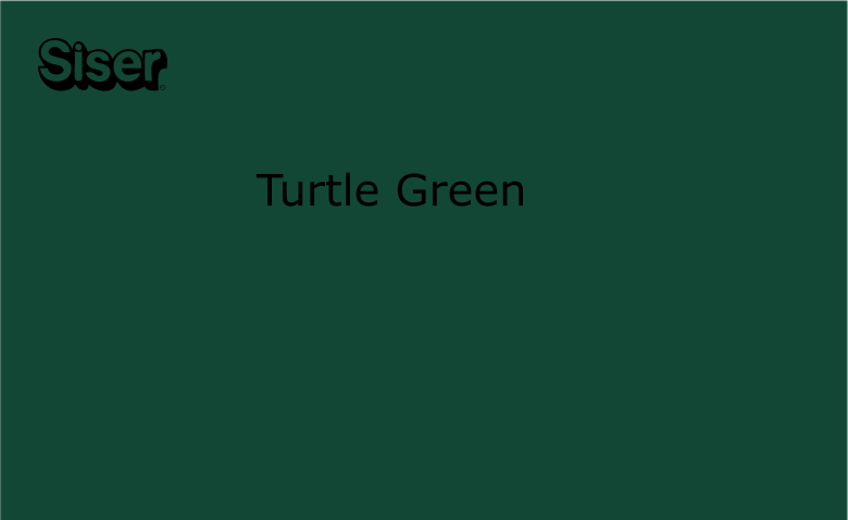 Turtle Green 5' Roll EasyPSV – Permanent Vinyl